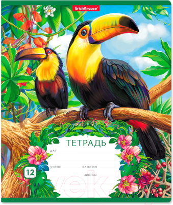 

Тетрадь Полиграфика, Экзотические птицы / 46547