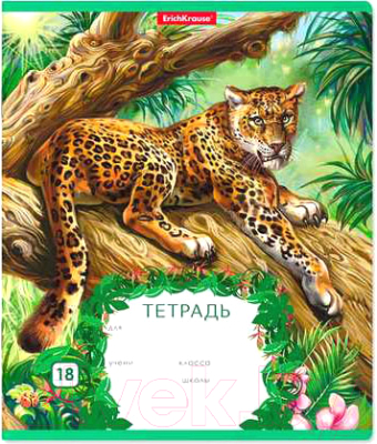 

Тетрадь Полиграфика, Джунгли / 46588