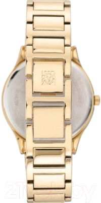 Часы наручные женские Anne Klein AK/3416SVGB