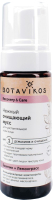 Пенка для умывания Botavikos Recovery & Care нежный очищающий мусс для чувствительной кожи (150мл) - 