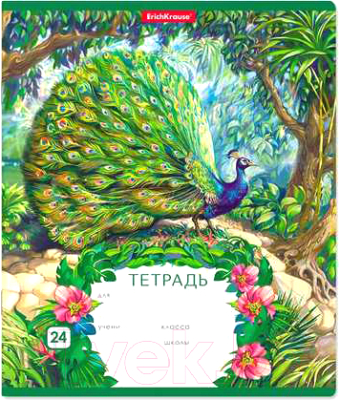 

Тетрадь Полиграфика, Экзотические птицы / 46610