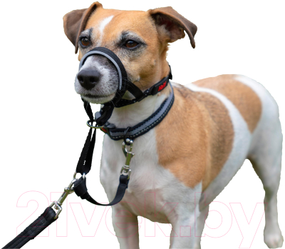 Недоуздок Halti Headcollar Size 5 / 11520В (черный)