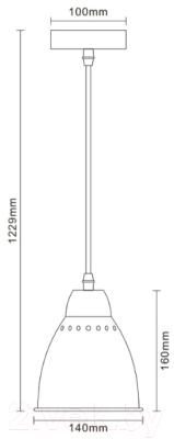 Потолочный светильник Camelion PL-430S-1 С59 / 13084 (старинная медь)