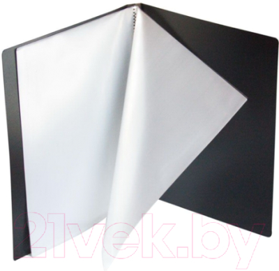 Папка для бумаг Kanzfile 09М-100K (черный)