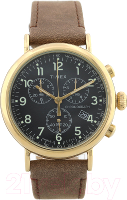 

Часы наручные мужские Timex, TW2T20900