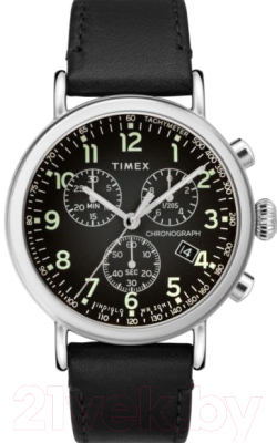 

Часы наручные мужские Timex, TW2T21100