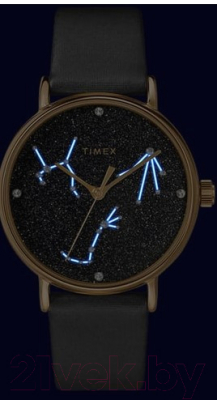 

Часы наручные женские Timex, TW2T87600