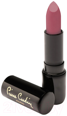 

Помада для губ Pierre Cardin, Porcelain 228 Spice Rose