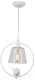 Потолочный светильник Arte Lamp Passero A4289SP-1WH - 