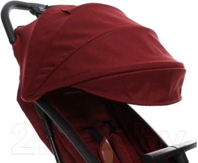 Детская прогулочная коляска Coto baby Riva (22/серый лен) - фото коляски другого цвета для примера