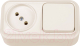 Миниатюра изображения товара Блок выключатель+розетка Bylectrica Вариант В-РЦ-7111 (бежевый)