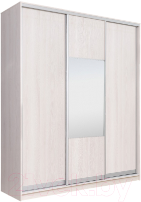 

Шкаф Рэйгрупп, 176450 YYX Elgon РГ-03.05