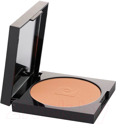 

Румяна Pierre Cardin, Бежевый, Porcelain Edition 660 Peachy Nude