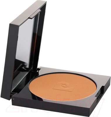 

Румяна Pierre Cardin, Бежевый, Porcelain Edition 760 Mocha