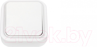 

Выключатель Bylectrica, Пралеска А6 10-147