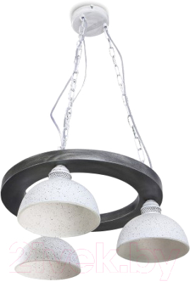 

Люстра N&B Light, Вириони 40204