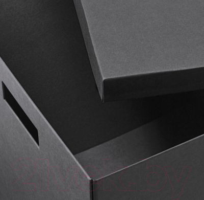Коробка для хранения Ikea Тьена 804.693.00