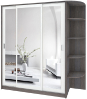 

Шкаф-купе, Лагуна ШК08-03