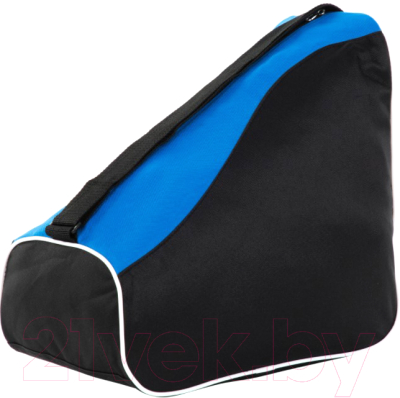 Спортивная сумка Nordway A20ENDHA045-BM / ENDHA045BM (черный/синий)