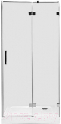 Душевая дверь Aquanet Beta 100 L / NWD6221 (прозрачное стекло)