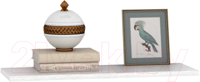 

Полка MFMaster, Файн-31 / МСТ-ПОФ-31-БТ-16