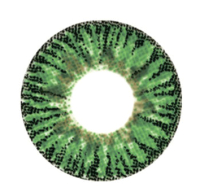 Комплект контактных линз Hera Elegance Green Sph-0.00 (2шт) - 