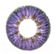 Комплект контактных линз Hera Elegance Violet Sph-0.00 (2шт) - 