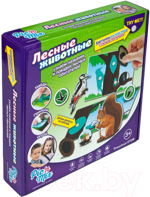 

Развивающая игра PicnMix, Лесные животные / 112023