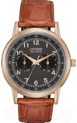 

Часы наручные мужские Citizen, AO9003-08E