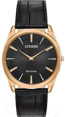 Часы наручные мужские Citizen AR3073-06E