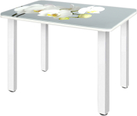 Обеденный стол Алмаз-Люкс СО-Д-01-28 (белая орхидея на сером) - 