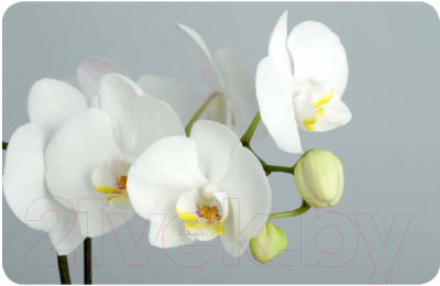Обеденный стол Алмаз-Люкс СО-Д-01-28 (белая орхидея на сером)
