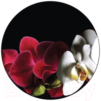 Обеденный стол Алмаз-Люкс СО-Д-10-10 (красная орхидея)