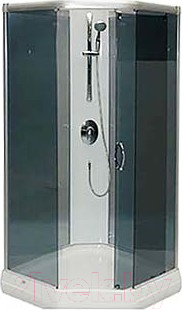 Душевая дверь Aquanet Penta New / 158833 (тонированное стекло/матовый хром)