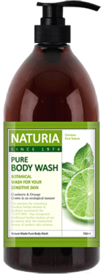 Гель для душа Evas Naturia Pure Body Wash Wild Mint & Lime (750мл)