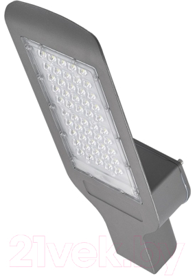 

Светильник уличный General Lighting, GST-C1-100Вт-IP65-6 / 460003