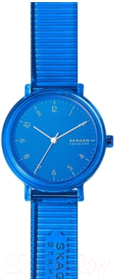 Часы наручные женские Skagen SKW2855