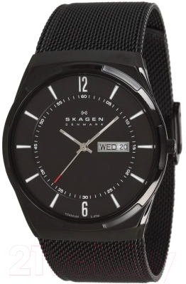 Часы наручные мужские Skagen SKW6006