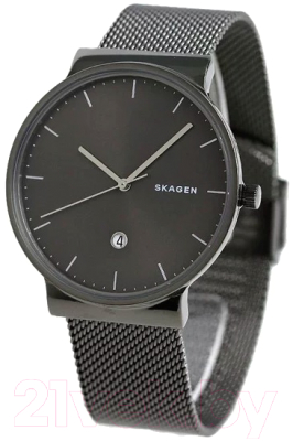 Часы наручные мужские Skagen SKW6432