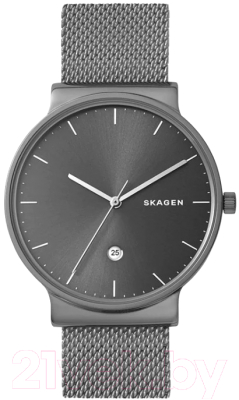 Часы наручные мужские Skagen SKW6432