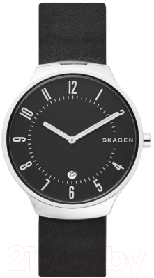 Часы наручные мужские Skagen SKW6459
