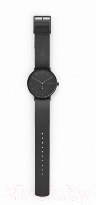 Часы наручные мужские Skagen SKW6480