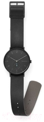 Часы наручные мужские Skagen SKW6480