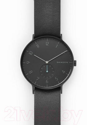 Часы наручные мужские Skagen SKW6480