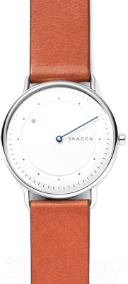 

Часы наручные мужские Skagen, SKW6487