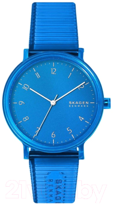 

Часы наручные мужские Skagen, SKW6602
