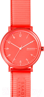 Часы наручные мужские Skagen SKW6603