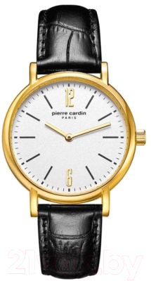 Часы наручные мужские Pierre Cardin PC902262F02