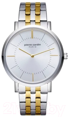 

Часы наручные мужские Pierre Cardin, PC902621F07