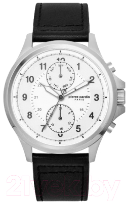 

Часы наручные мужские Pierre Cardin, PC902691F101